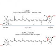Luteín a Zeaxantín
